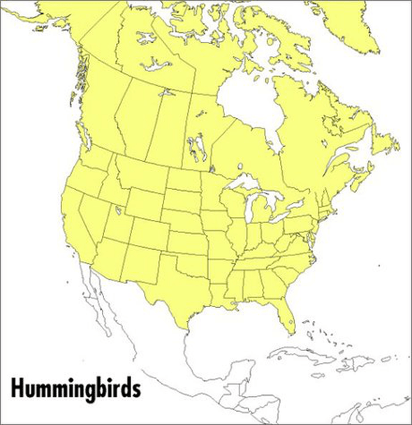 A Field Guide to Hummingbirds of North America (Peterson Field Guides) - We Love Hummingbirds