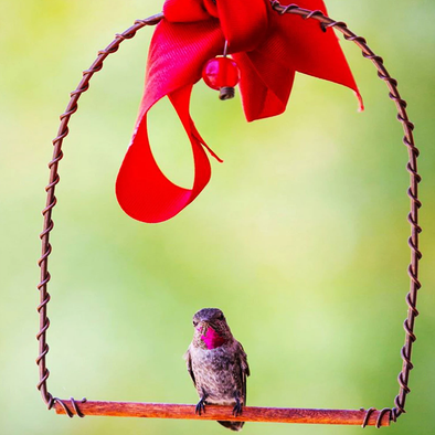 Best Copper Hummingbirds Swing - We Love Hummingbirds