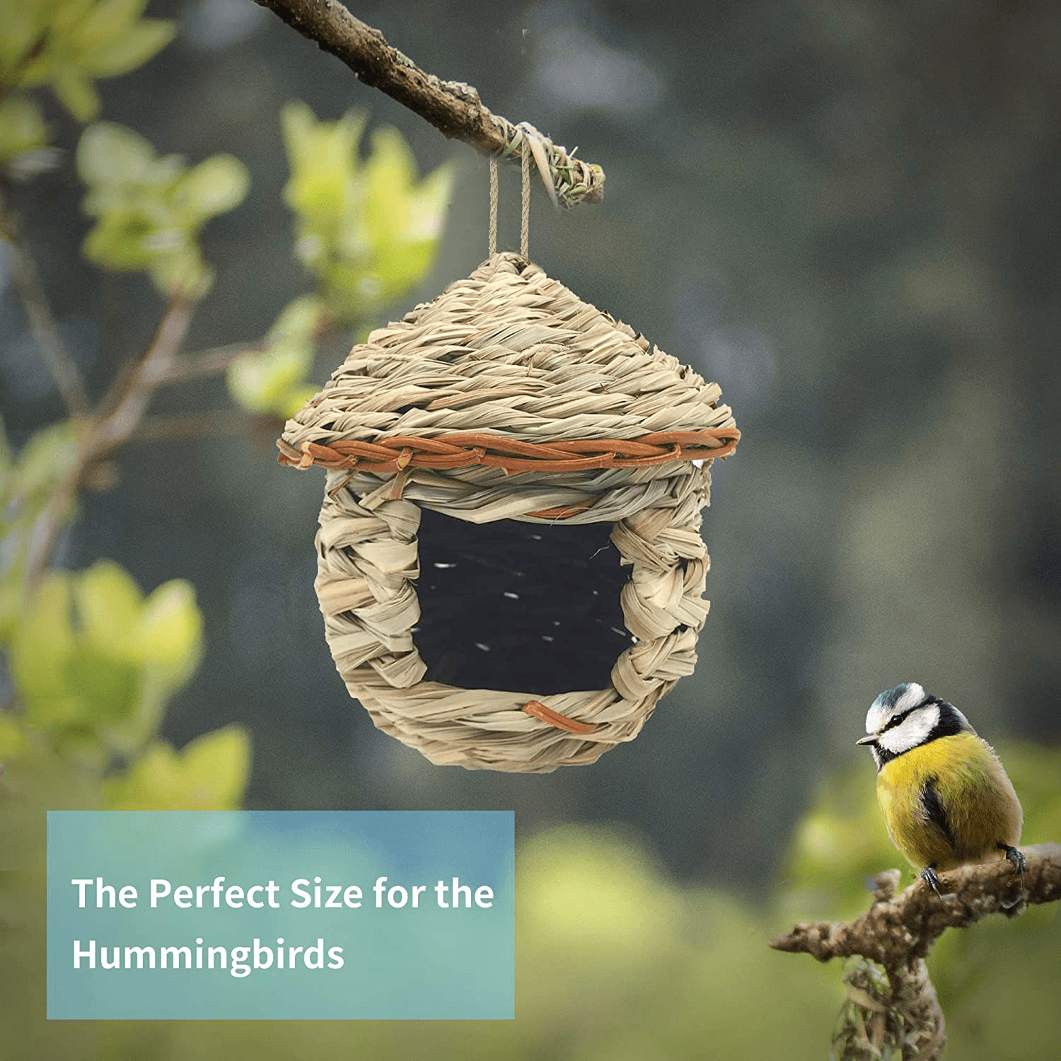 Gute Hummingbird House, Grass Hand Woven Birdhouses for Outdoors