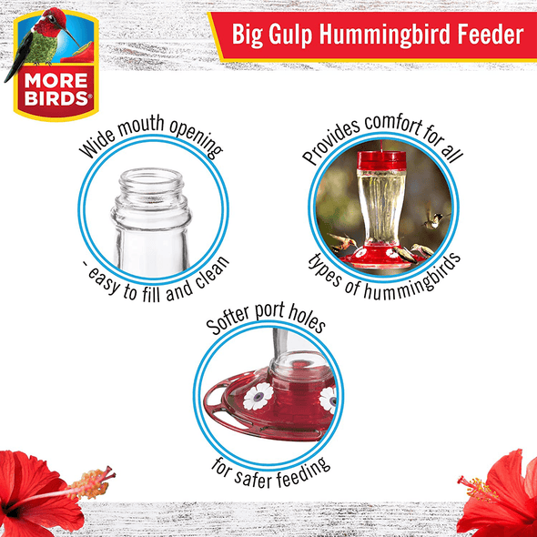 More Birds Bird Health+ Big Gulp Hummingbird Feeder, Glass Hummingbird Feeders for Outdoors, 5 Feeding Stations, 40 Ounces - We Love Hummingbirds
