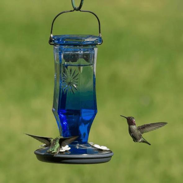 Sapphire Starburst Decorative Glass Hummingbird Feeder - We Love Hummingbirds