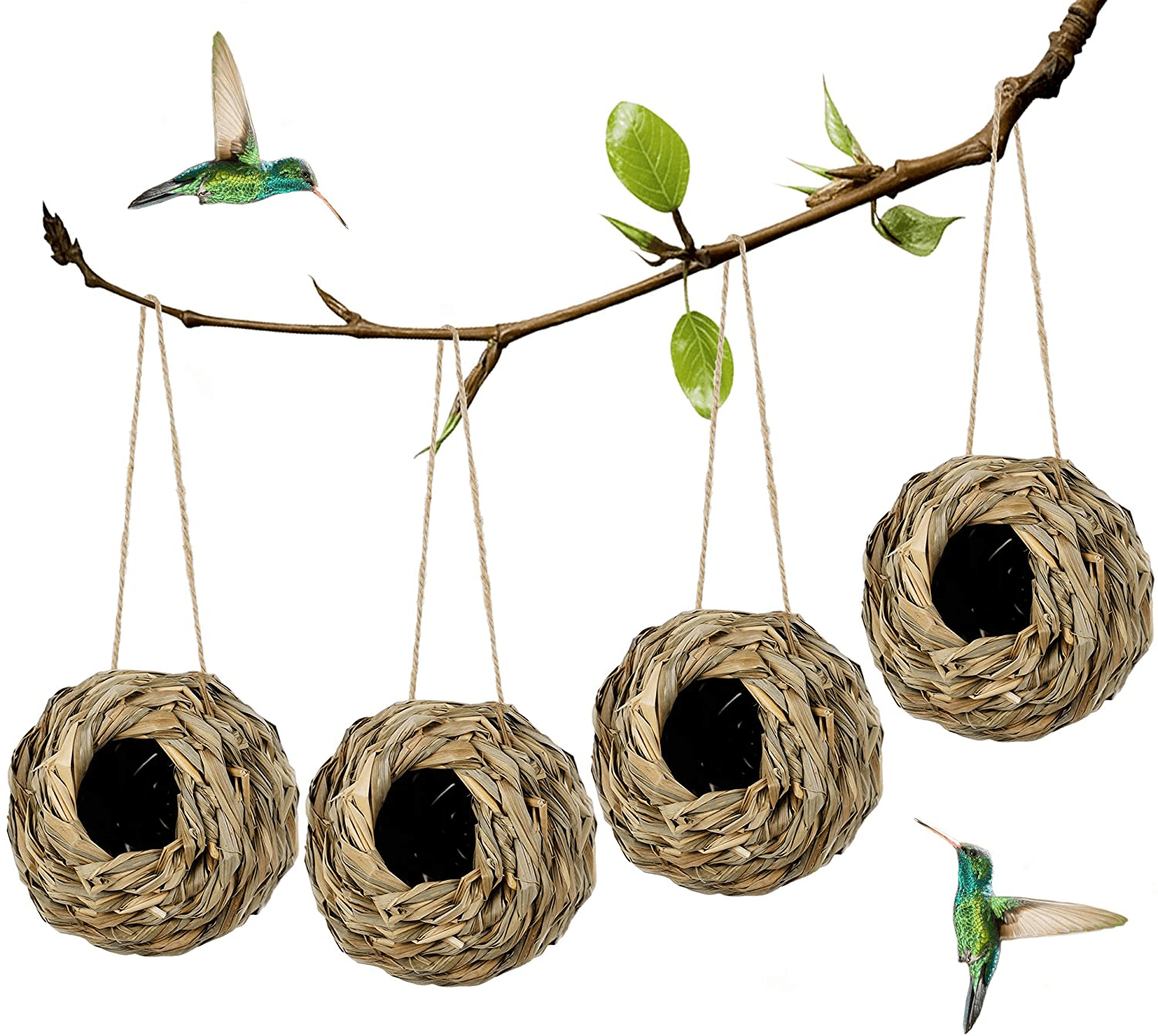 Winemana 4 Pack Hanging Hummingbird Nest House for Outside, Ball Shape – We  Love Hummingbirds